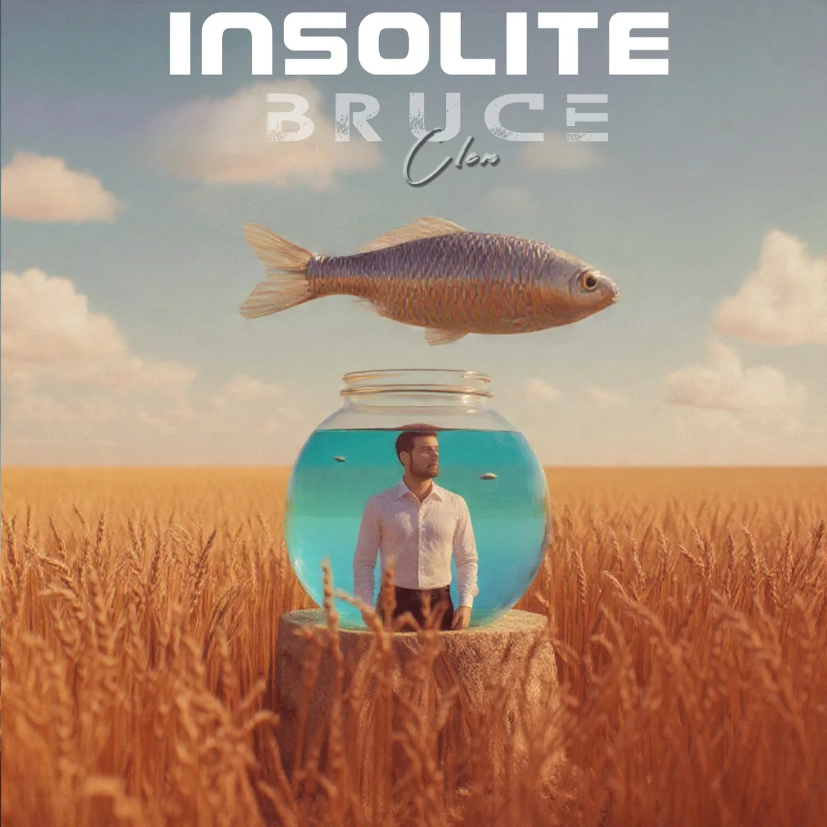 Pochette du thème in SO LI te